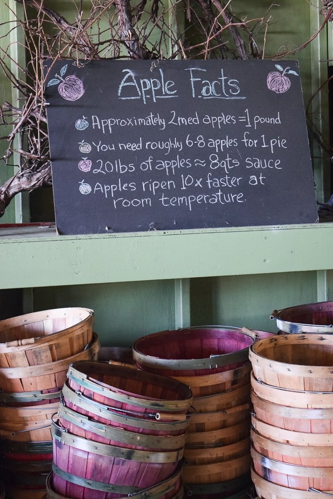 Sky Top Apple Orchard by This Little Home of Mine