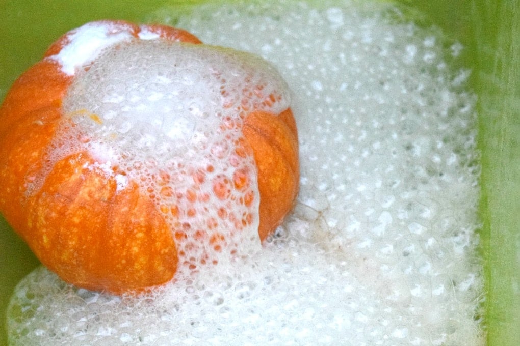 Erupting Pumpkin Experiment