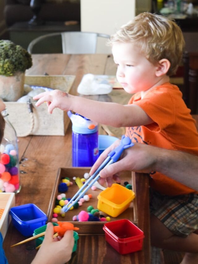 Pom Pom Sorting Activities Story