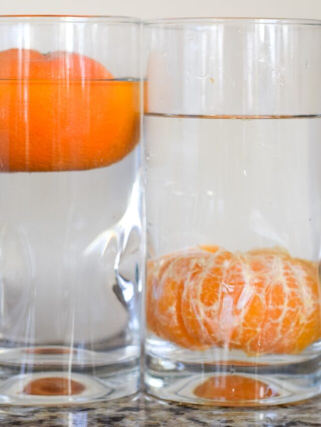 cropped-Sink-or-Float-Oranges-1.jpg