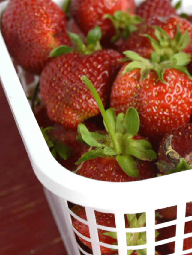 Carrigan Farms – Mooresville, NC Story