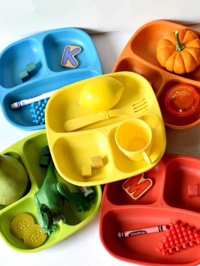 Color Sorting Activity on Colorful Plates Story