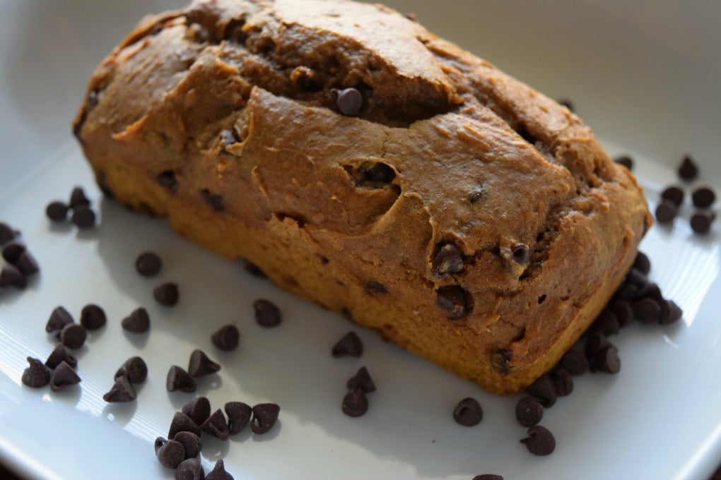 Chocolate Chip Pumpkin Bread Recipe by This Little Home of Mine