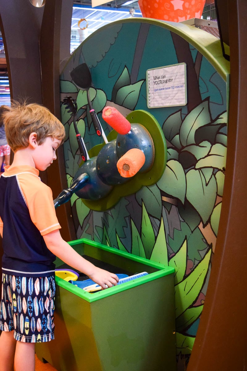Young Boy Attending a Community Event at the Library