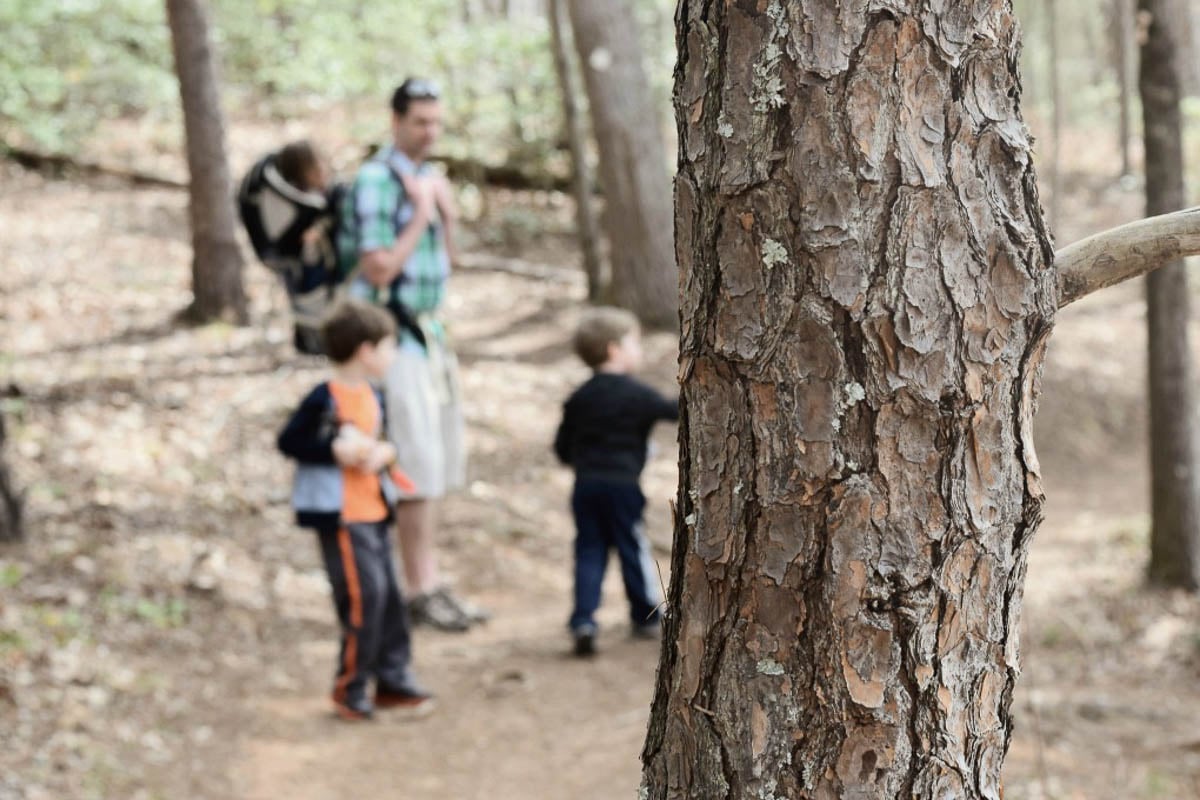 Family Hiking Together on a Wooded Trail