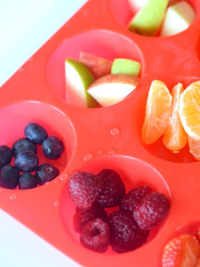 Muffin Tin Snacking for Kids Story