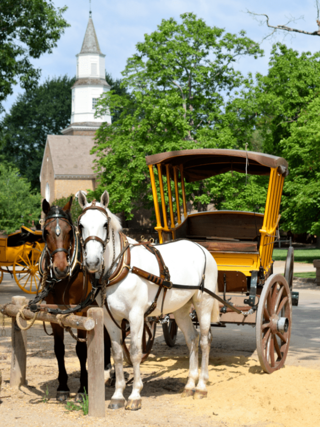 Family Field Trip to Williamsburg, VA - Colonial Williamsburg