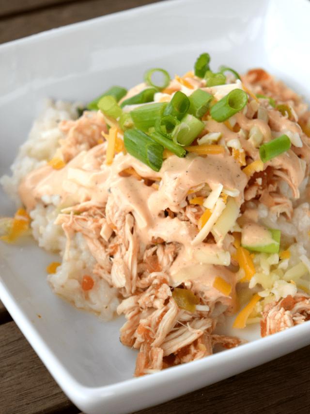 Salsa Chicken and Risotto - This Little Home of Mine