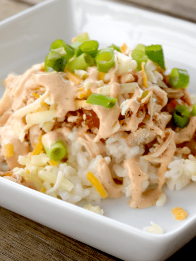 Salsa Chicken and Risotto Recipe Story