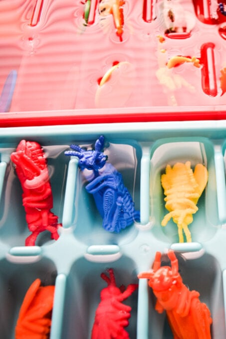 Sensory Play Activity: Animals Hidden in Ice - This Little Home of Mine