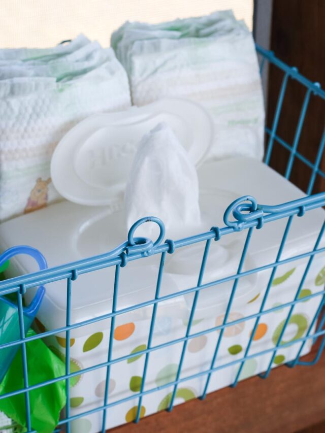Fully Stocked Minivan Diaper Basket for Family Organization