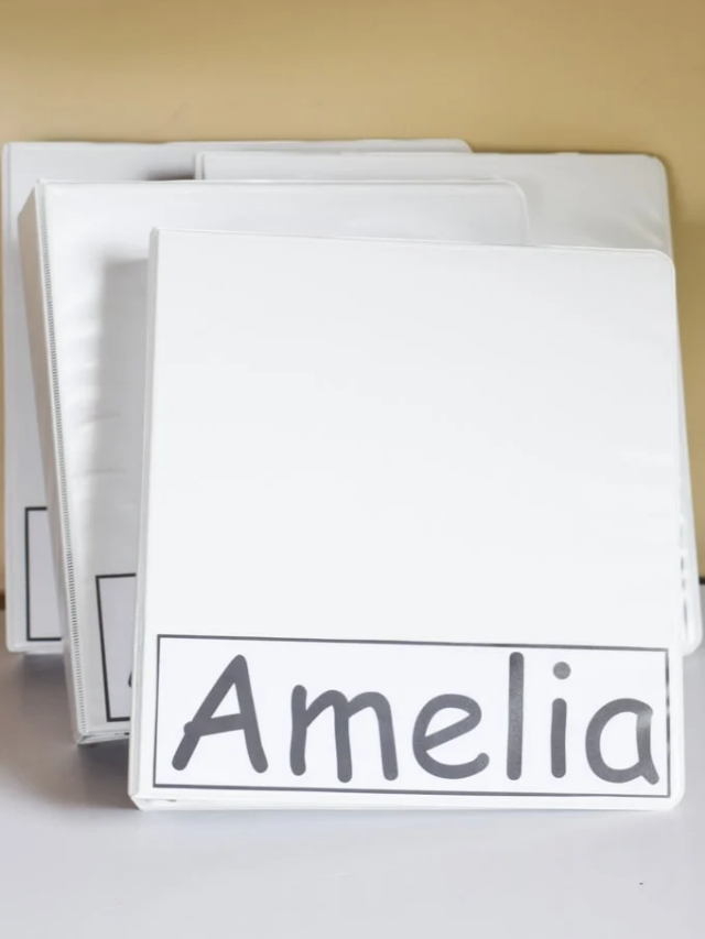 Organized Medical Binders for Your Kids Cover Image