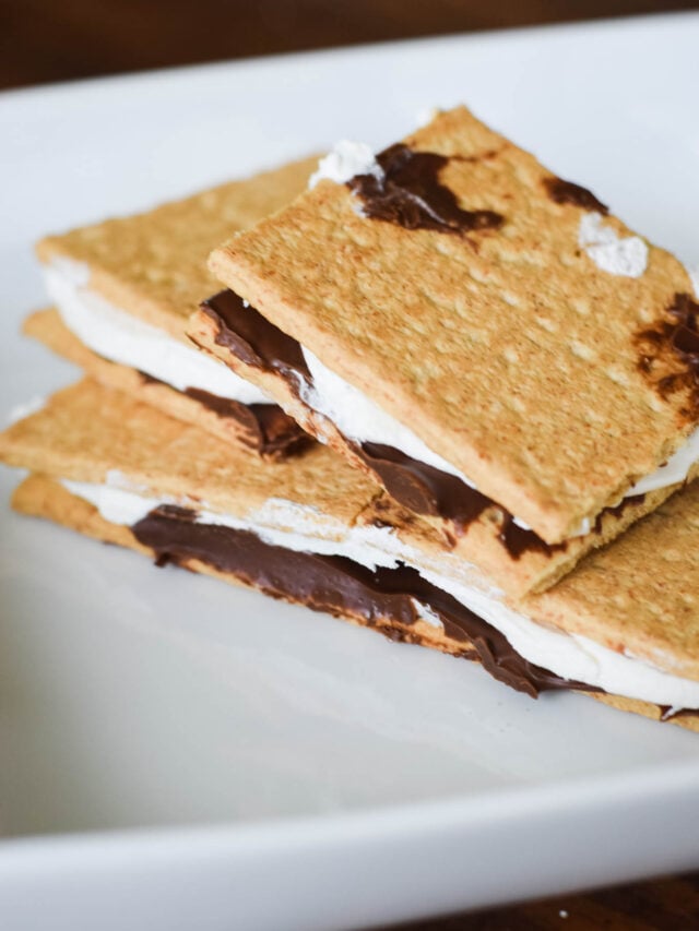 Frozen Nutella Graham Cracker Sandwiches Sitting on a White Plate