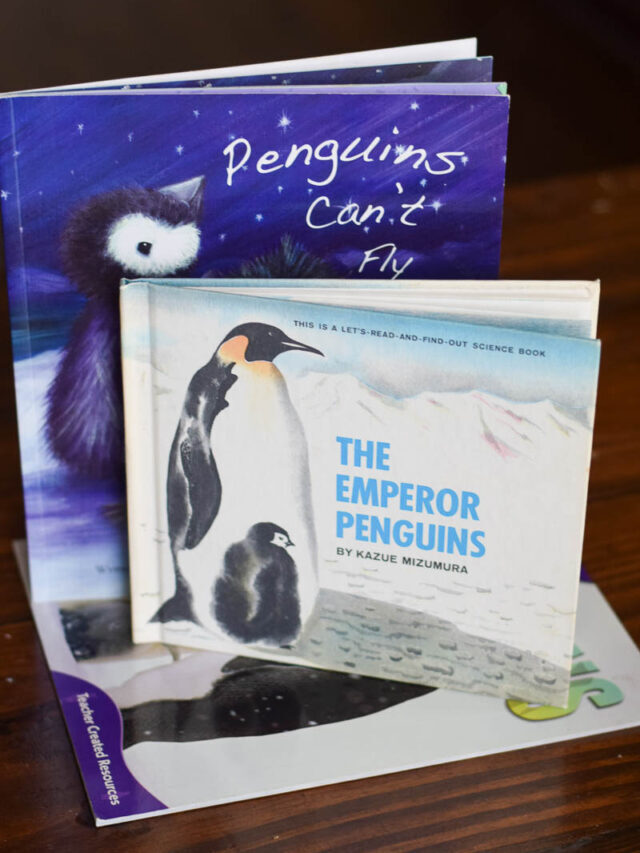 Penguin Books for Kids Story
