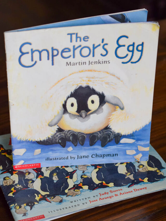 Front Cover of The Emperor's Egg