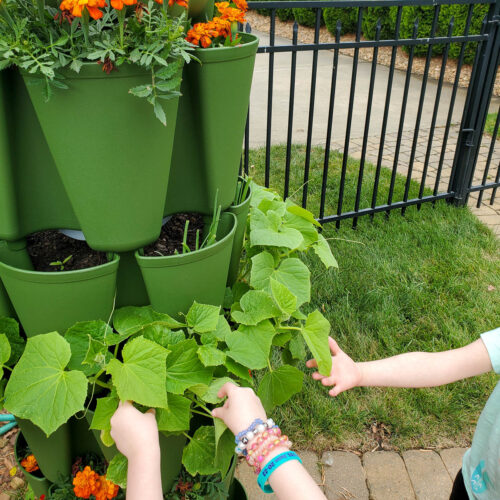 Gardening Activities For Kids This Little Home Of Mine gardening-activities-for-kids-this-little-home-of-mine