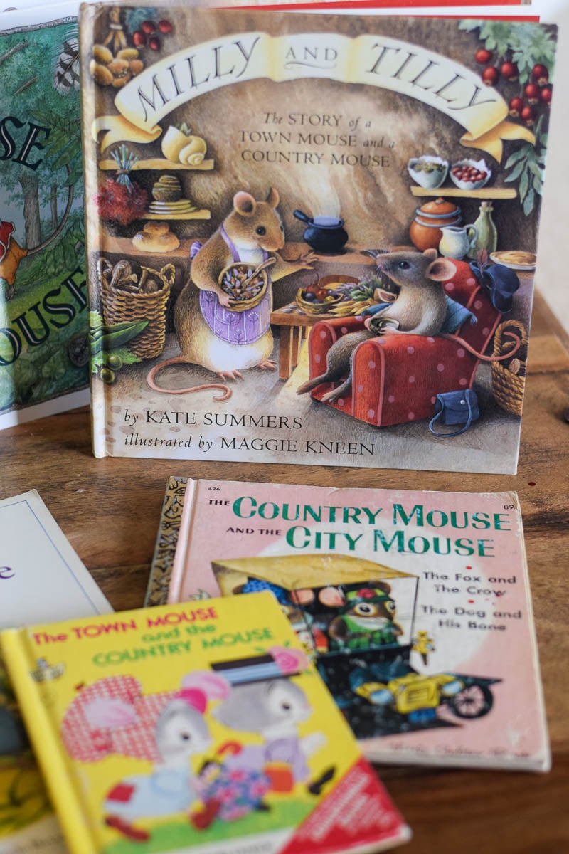 Children's Books about The Town Mouse and the Country Mouse