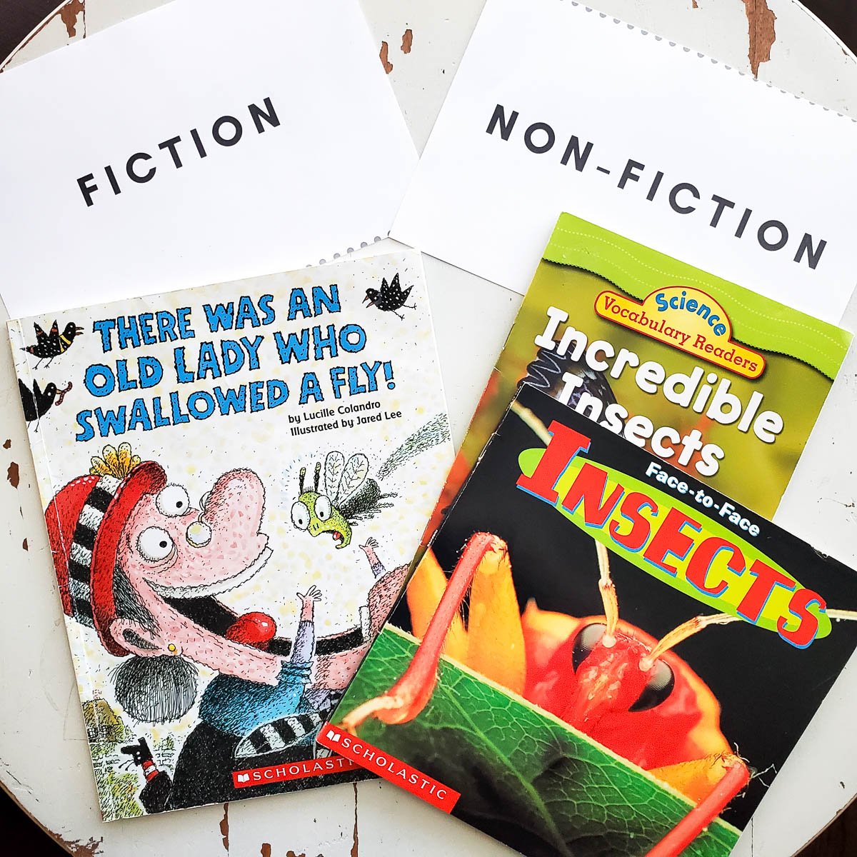 Fiction - Non-Fiction Book Sort Labels