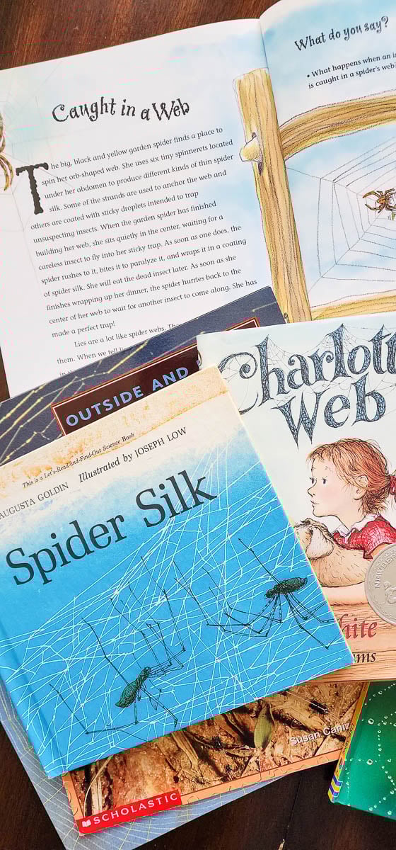 Kids Books about Spiders