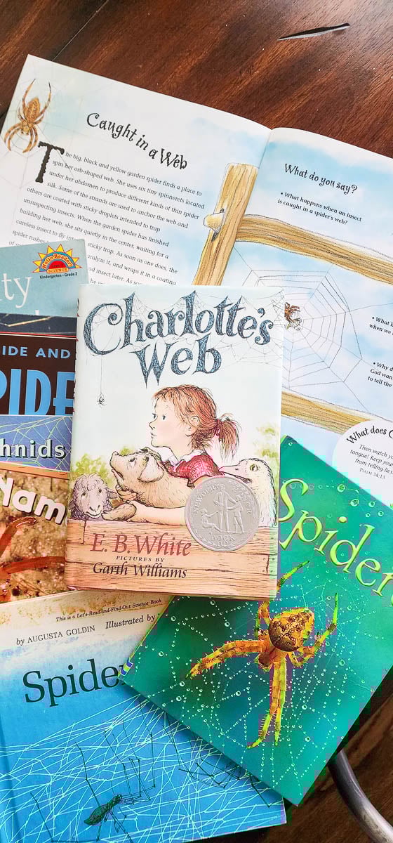 Kids Books about Spiders