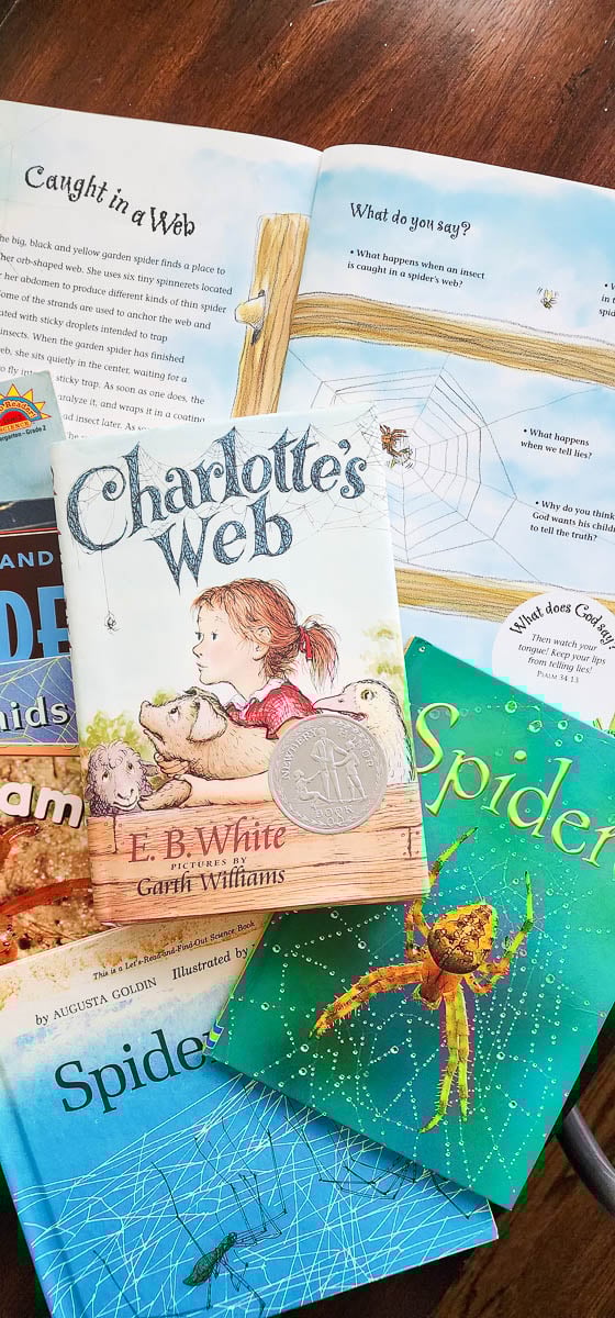 Kids Books about Spiders
