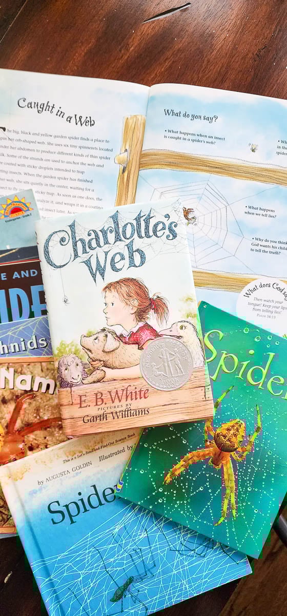 Kids Books about Spiders