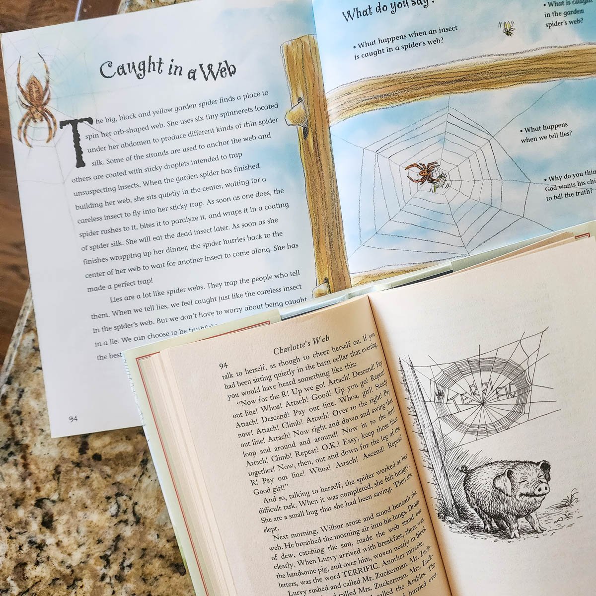 Two Books Open on a Counter Top