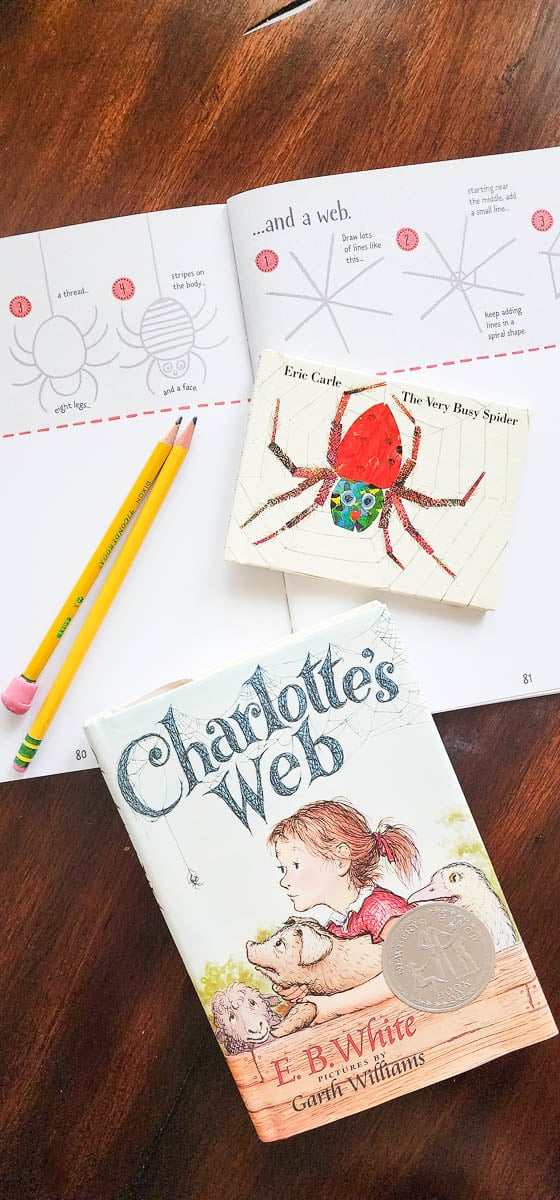 Instructions for How to Draw a Spider