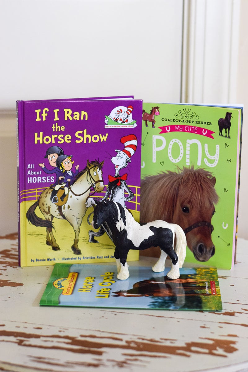 Kids Books about Horses and a Toy Horse
