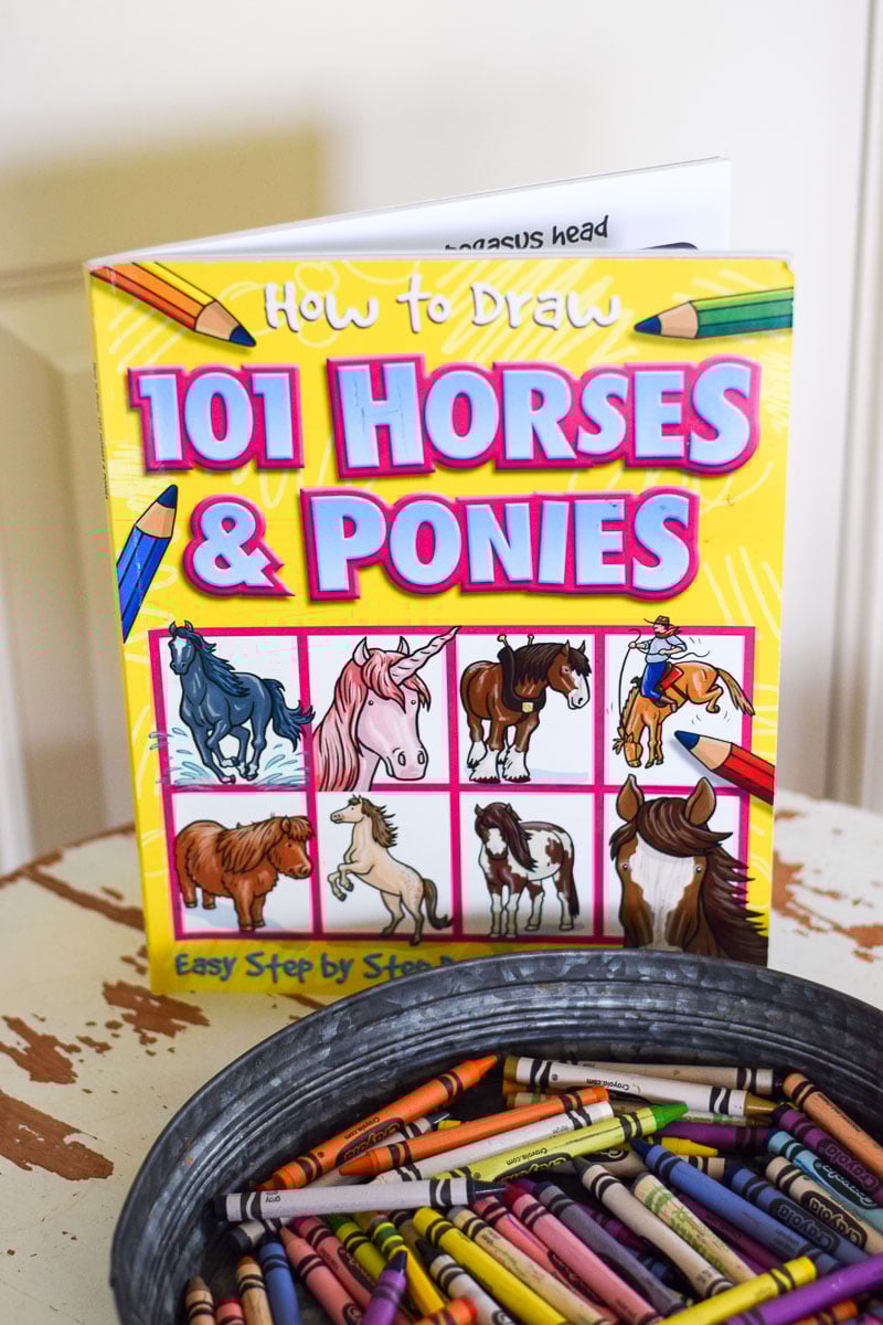 Front Cover of How to Draw 101 Horses & Ponies