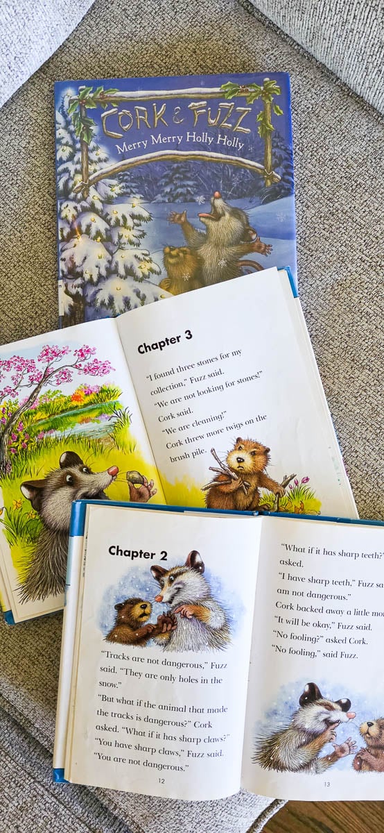 Kids Books Sitting on Couch