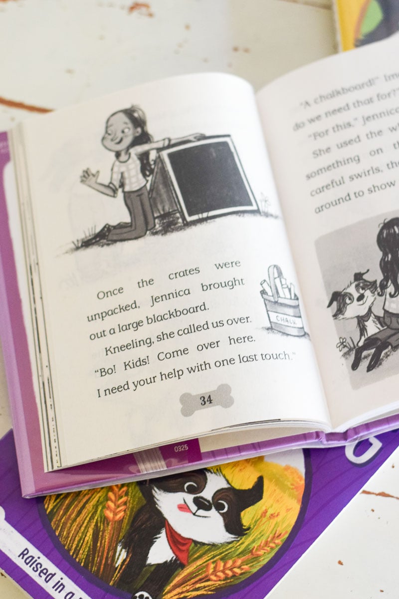 A Peek Inside Good Book Books