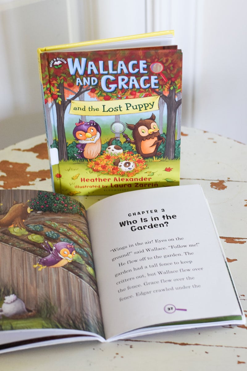 Wallace and Grace Book Series