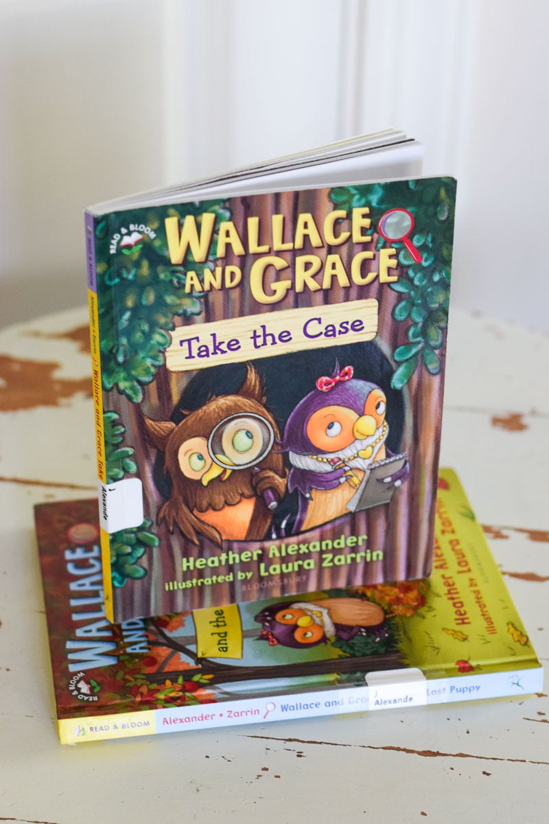Wallace and Grace Book Series