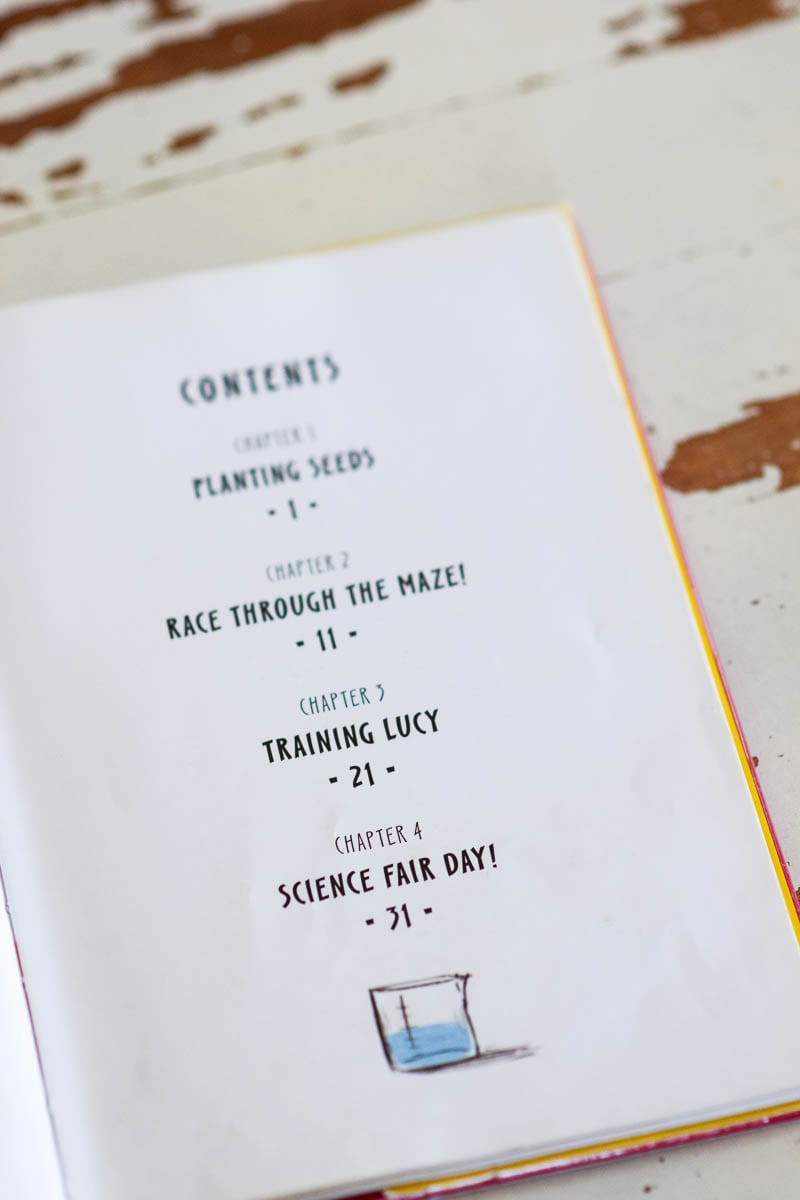 Table of Contents in "Fergus and Zeke at the Science Fair"