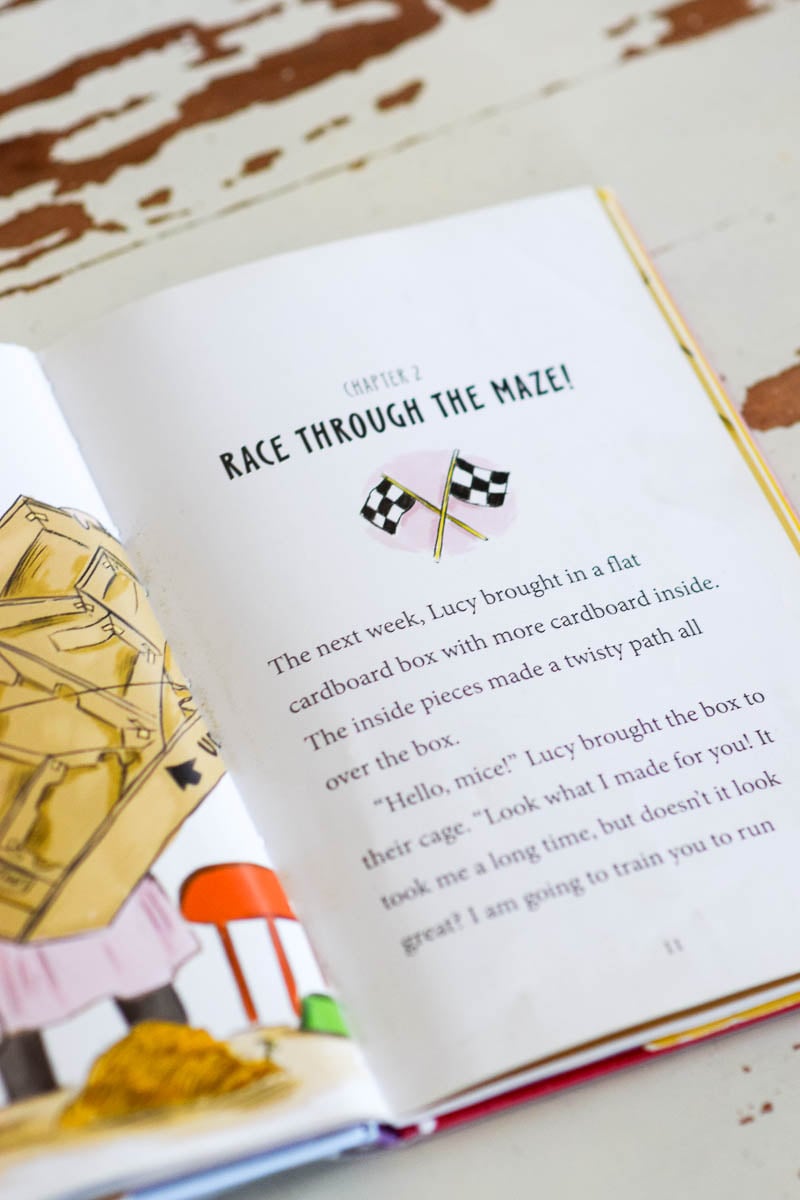 Inside Pages of "Fergus and Zeke at the Science Fair"