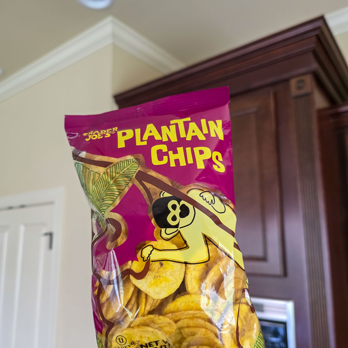 Bag of Plantain Chips from Trader Joe's