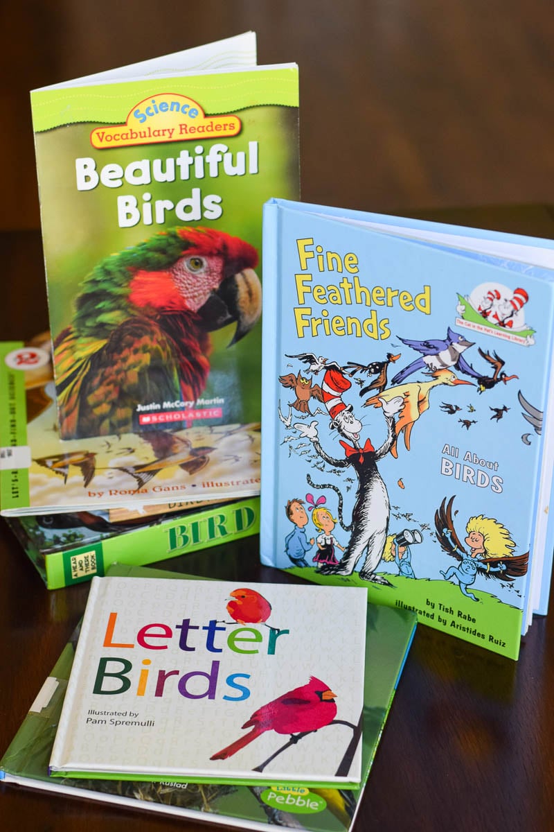Batch of Kids Books about Birds