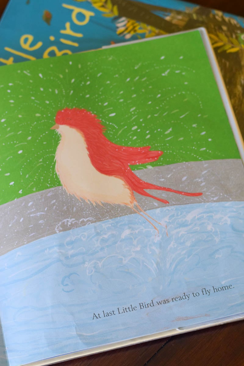 Inside "Little Bird Takes a Bath"