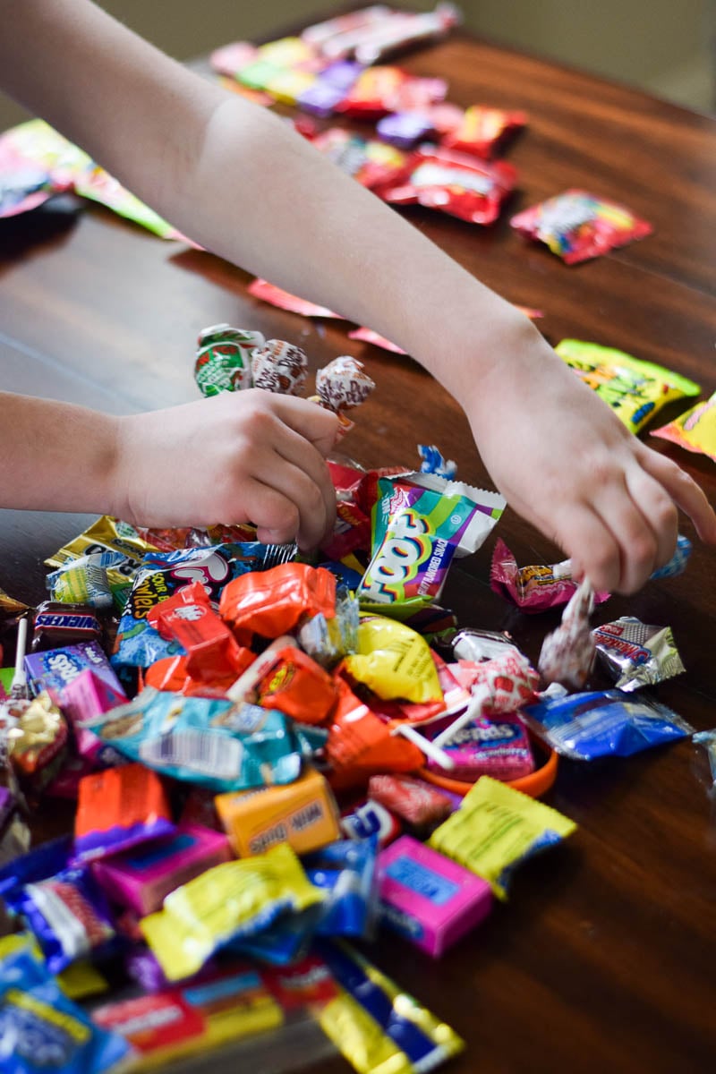 Child Sorting Fall Candy