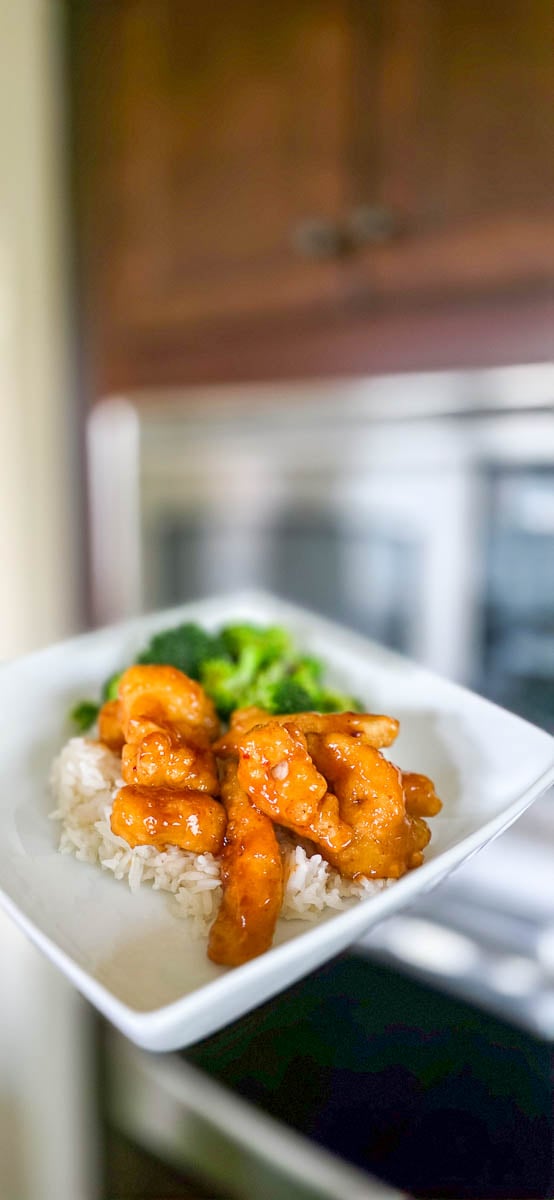 General Tso's Chicken Served with Rice - Served on a White Dinner Dish
